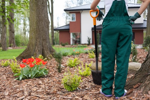 A person wearing green gardening overalls is standing outdoors in a landscaped garden, holding an orange and black shovel while planting or tending to a small shrub with rounded, green foliage. In the foreground, there is a flower bed with bright red tulips and other yellow-green plants, bordered by mulch that covers the ground. The garden features a well-maintained lawn with lush, dense grass, and several mature trees with textured bark provide shade and structure to the space. In the background, a modern two-story house with white walls, large windows, and a dark roof is partially visible, surrounded by additional garden beds and greenery. The lighting suggests a clear day with natural sunlight illuminating the scene, and the weather appears mild and suitable for outdoor gardening work. This image illustrates professional gardening activities in a typical Hackbridge residential garden, highlighting elements such as planting, lawn care, and landscape maintenance that are characteristic of gardening services offered by Lawn Mowing Hackbridge.